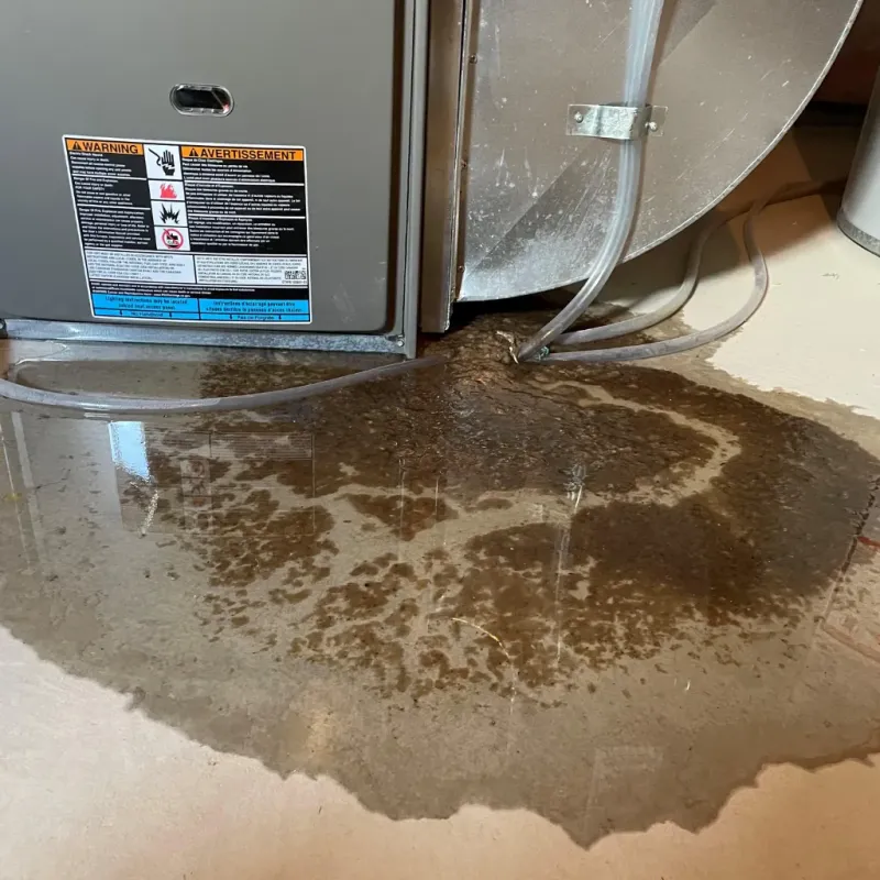 Appliance Leak Cleanup in Hancock County, GA